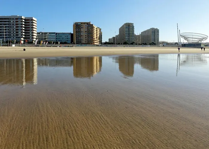 Em Com Piscina Matosinhos (Porto)